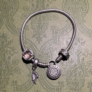Pandora Charm Bracelet
